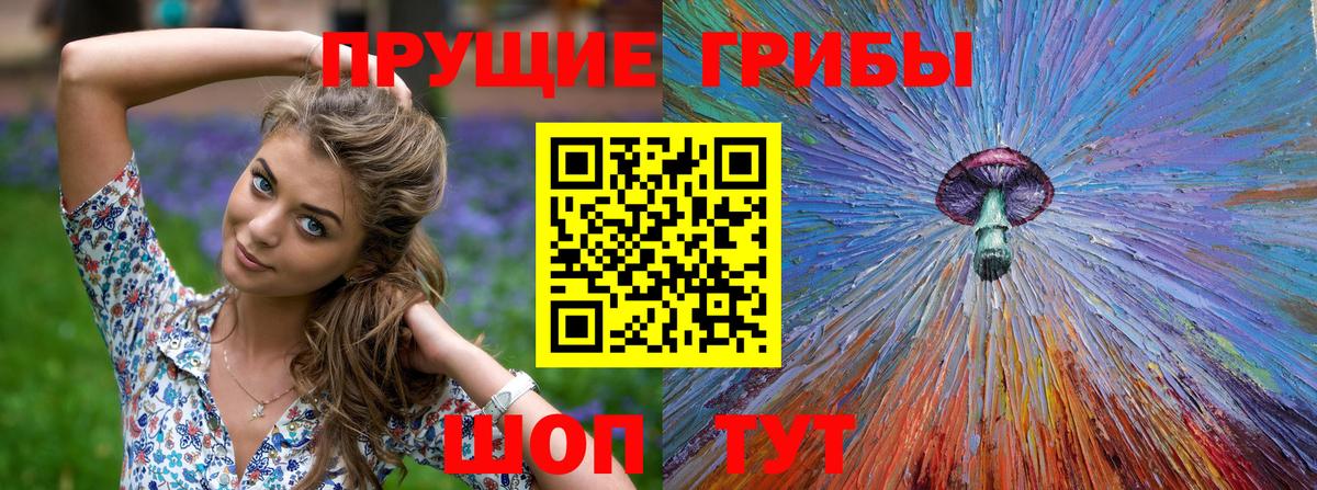 как найти закладки  Псилоцибиновые грибы Psilocybe  Вход с VPN  Советский 