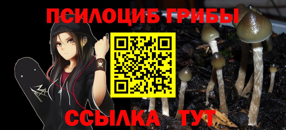 Псилоцибиновые грибы GOLDEN TEACHER Советский